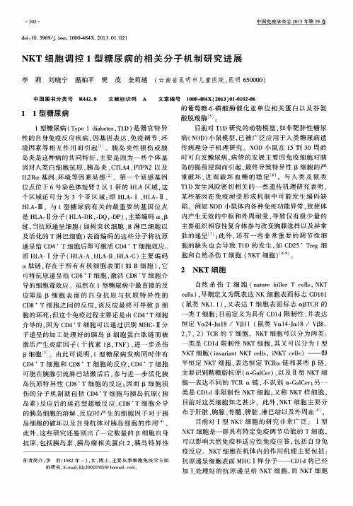 NKT细胞调控1型糖尿病的相关分子机制研究进展