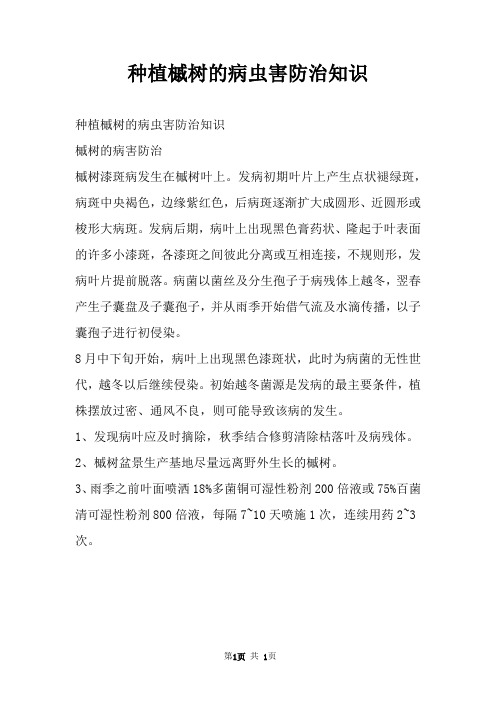 种植槭树的病虫害防治知识