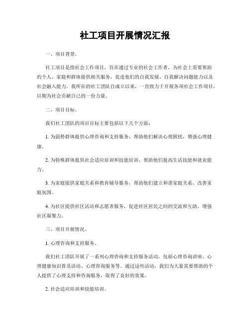社工项目开展情况汇报
