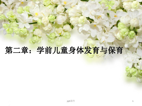 第二学前儿童神经系统的发育与保育 ppt课件