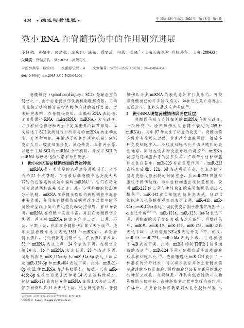微小rna在脊髓损伤中的作用研究进展