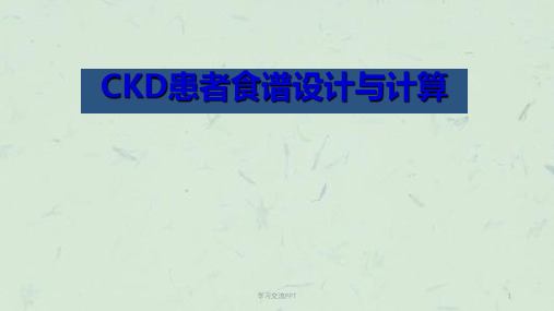 CKD食谱的设计与计算ppt课件