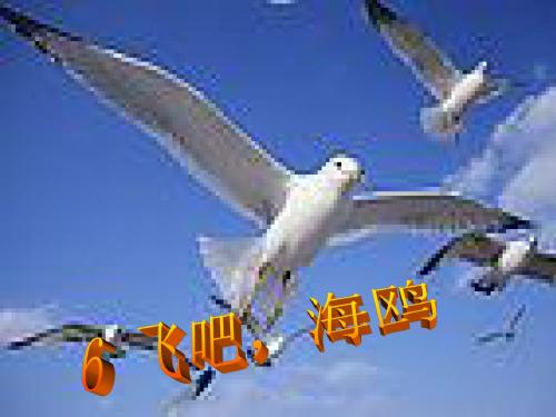 【精品】三年级下语文S《6.飞吧海鸥》