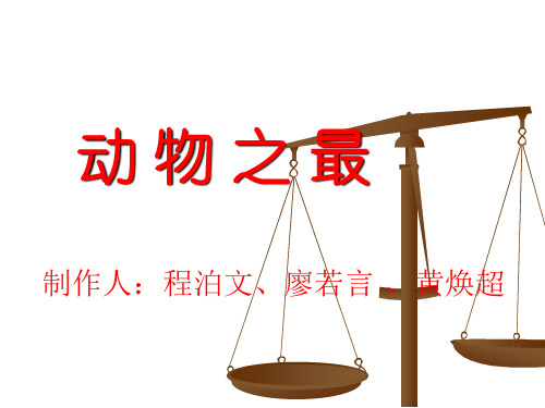 动物之最大全