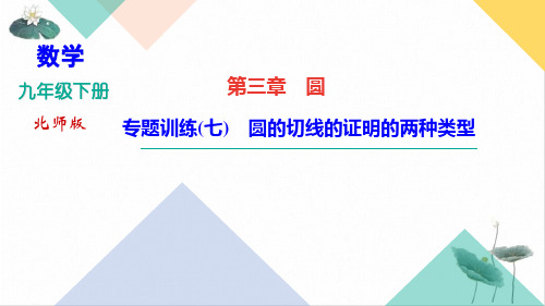 北师大版九年级下册数学习题PPT课件圆的切线的证明的两种类型