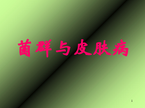 菌群与皮肤病PPT课件