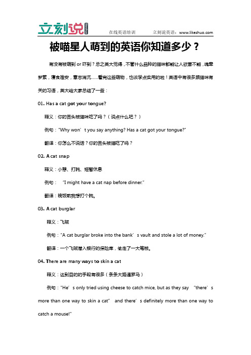 立刻说：被喵星人萌到的英语你知道多少？