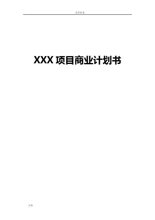 XXX项目商业计划清单书