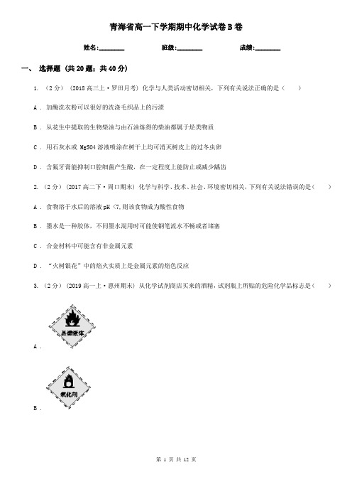 青海省高一下学期期中化学试卷B卷