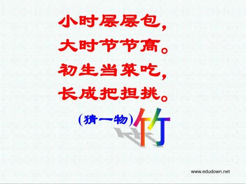 初一语文课件-语文版七年级语文上册第11课《竹林深处人家》课件 最新