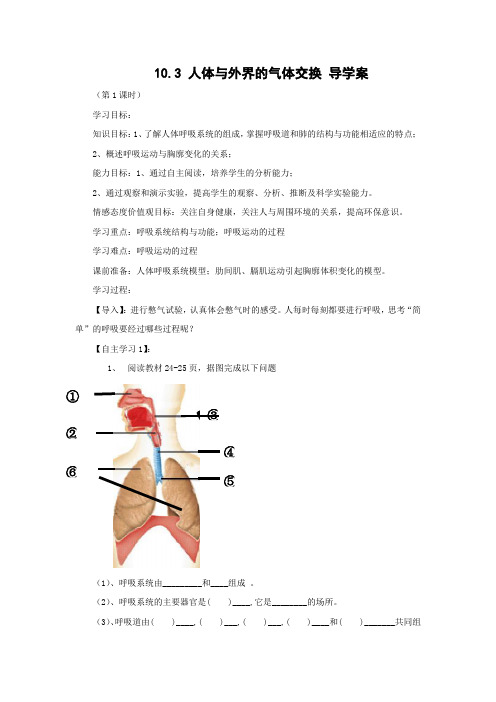 苏教版-生物-七年级下册-10.3 人体与外界的气体交换 导学案