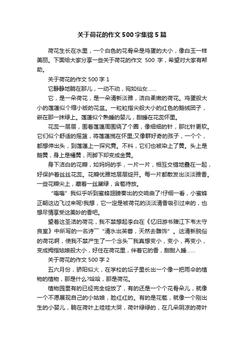 关于荷花的作文500字集锦5篇