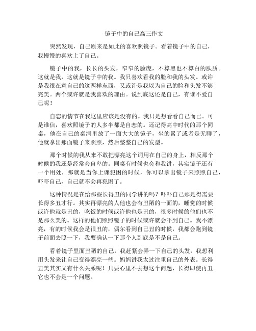 镜子中的自己高三作文