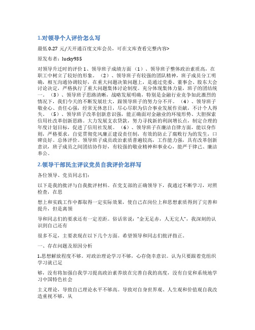 乡领导干部能力自我评价