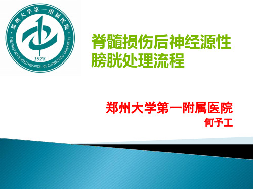 脊髓损伤后神经源性膀胱处理流程