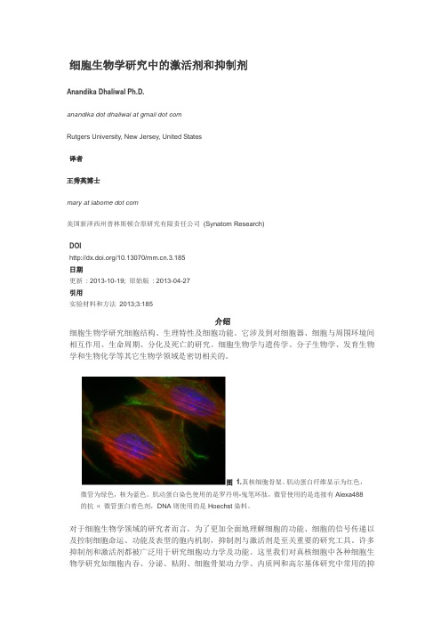 细胞生物学研究中的激活剂和抑制剂