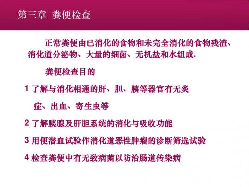 粪便检查  ppt课件