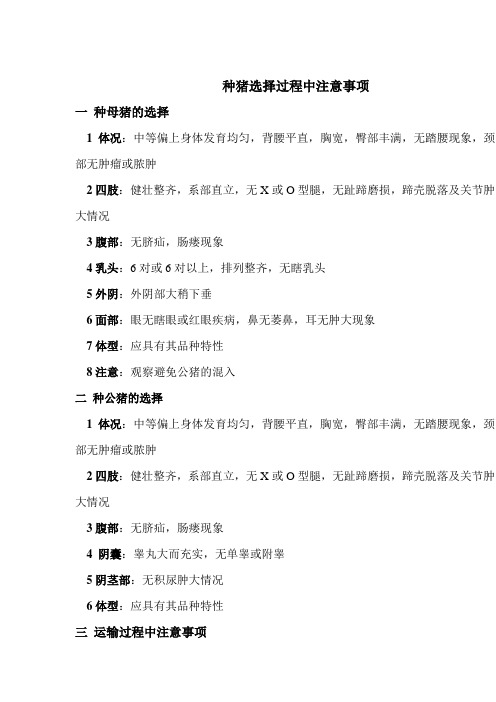 种猪选择过程中注意事项