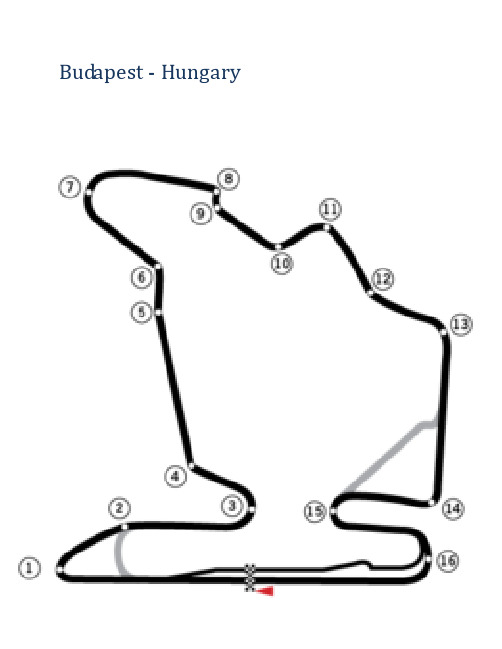F1 2010 调教手册 超详尽