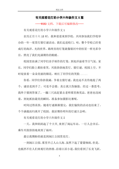 有关观看花灯的小学六年级作文5篇