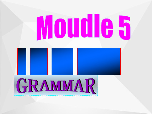 高中英语Module5grammar课件外研版必修5