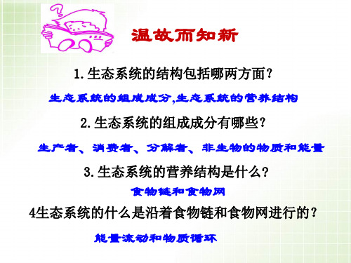 生态系统的能量流动(优质课课件)