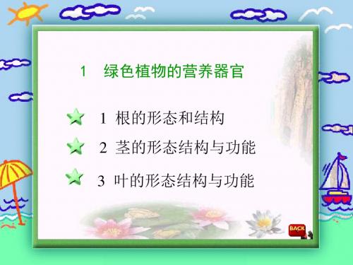 六年级科学上册第一章第1课植物的器官和营养PPT课件3新人教版