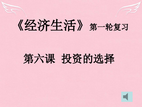 政治经济生活第一轮复习第六课投资的选择课件