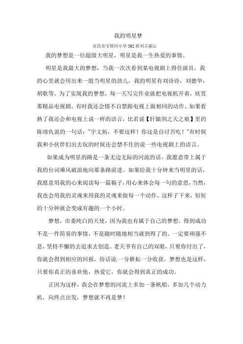 我的明星梦