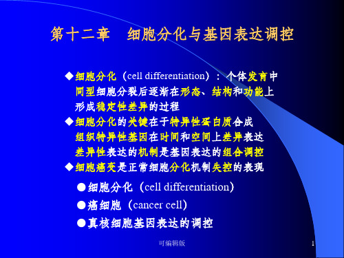 细胞分化与基因表达调控(1)