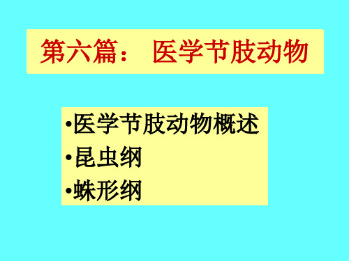 医学昆虫