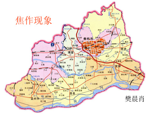 焦作现象