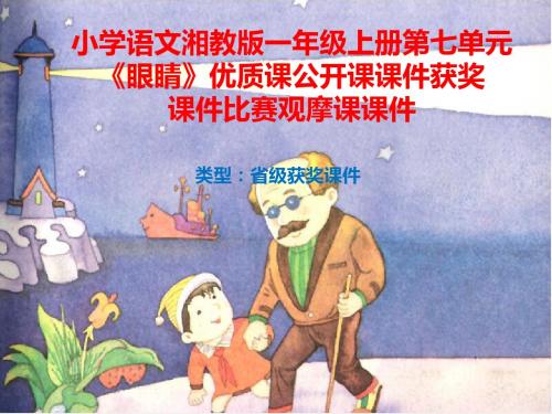 小学语文湘教版一年级上册第七单元《眼睛》优质课公开课课件获奖课件比赛观摩课课件B017