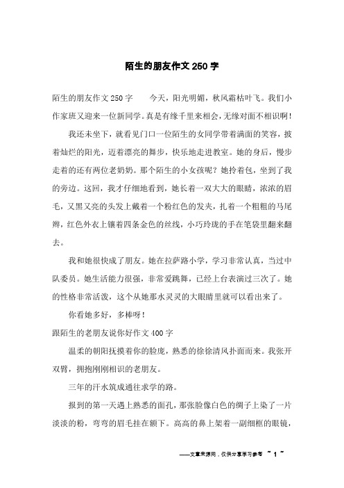 陌生的朋友作文250字