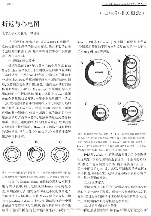 折返与心电图_郭继鸿