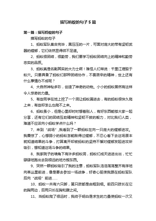 描写蚂蚁的句子5篇