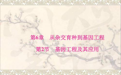 高中生物第6章从杂交育种到基因工程第2节基因工程及其应用课件新人教版必修2