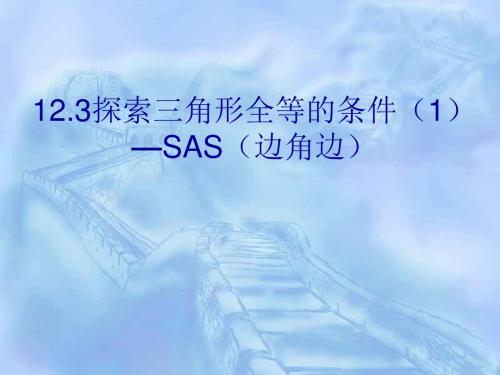 全等三角形的判定方法：边角边定理--华师大版