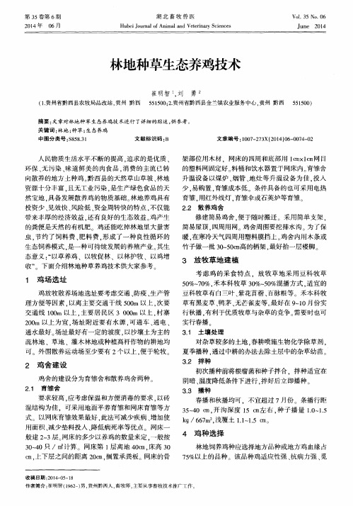 林地种草生态养鸡技术