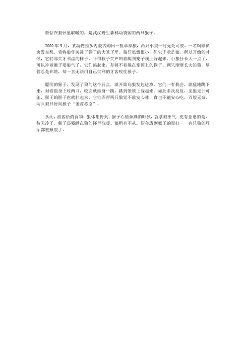 (青少年心灵成长直通车)启迪孩子智慧的动物故事_钻在狼怀里取暖的猴子