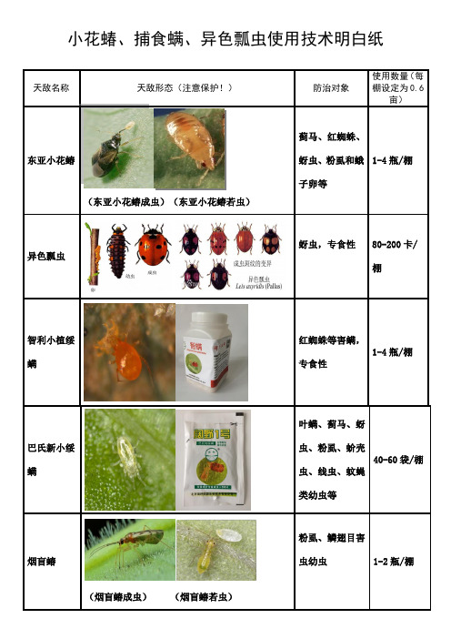 天敌小花蝽、捕食螨、异色瓢虫使用技术明白纸