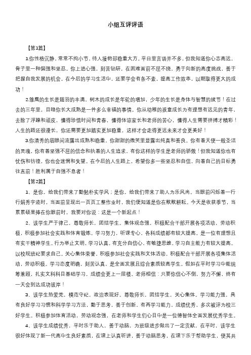 小组互评评语