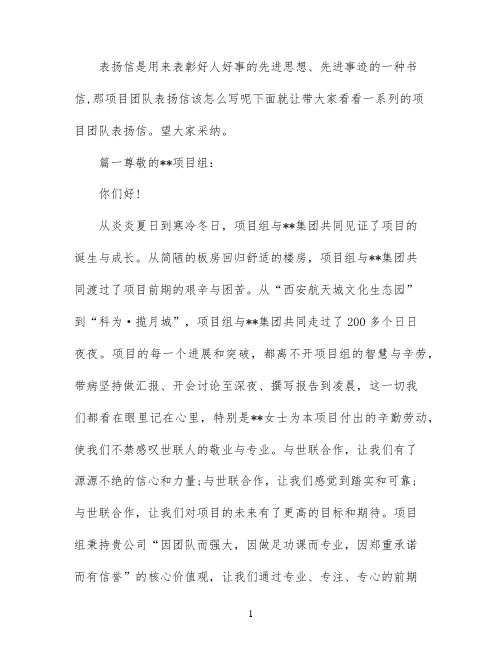 项目团队表扬信范文