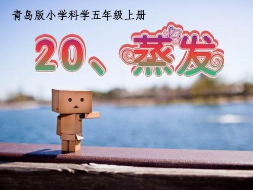 五年级上册科学课件20课蒸发
