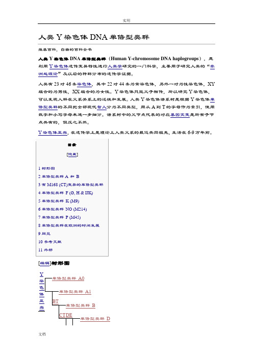 人类Y染色体DNA单倍型类群