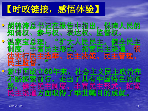 初中政治我国公民的政治参与 ppt课件