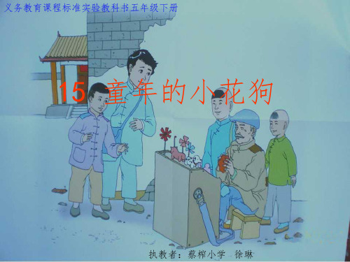 童年的小花狗(徐琳)