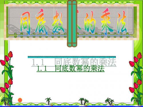 1.1同底数幂的乘法