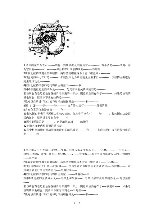 植物细胞亚显微结构模式图