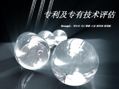 Group1 专利评估
